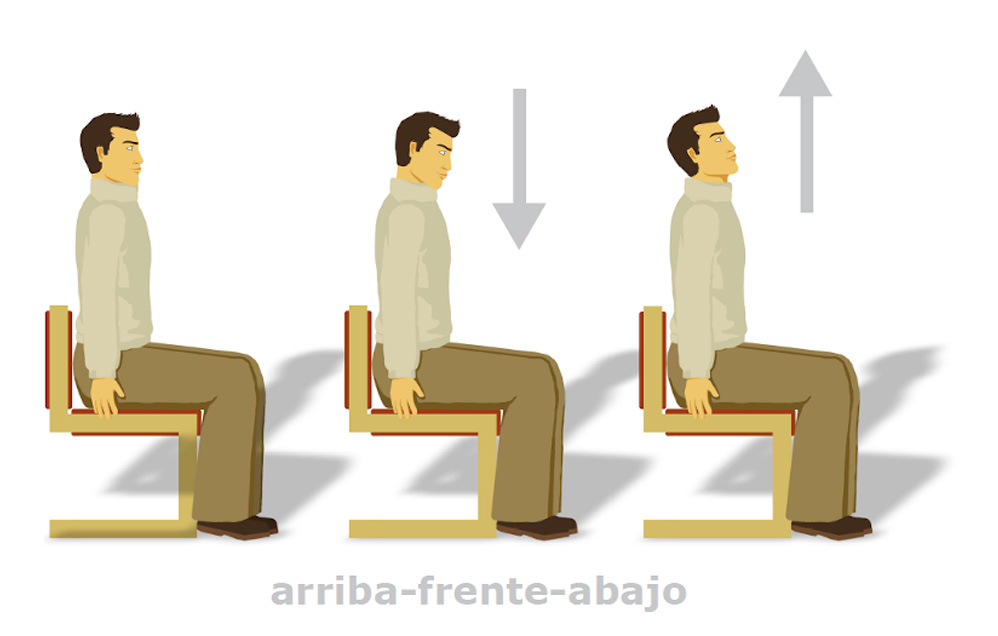 movilidad cefálica arriba - frente - abajo