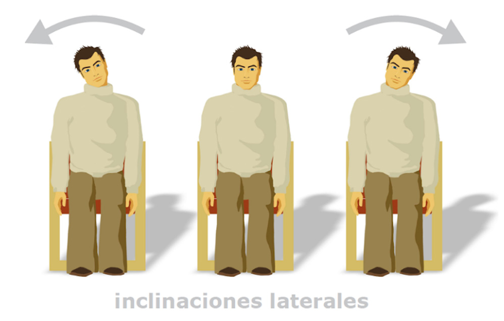 movilidad cefálica inclinaciones laterales